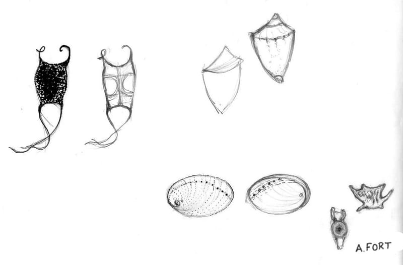 Dibujos