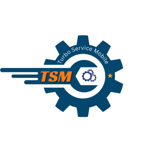 TSM Tool Pro (12 mois)