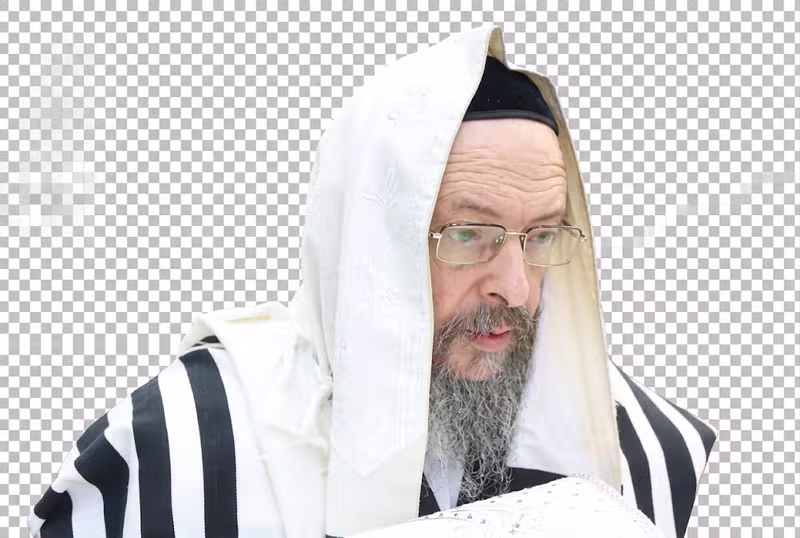 כ"ק גאב"ד זוויעהל שליט"א