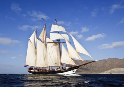 מיוזיק ג'אנקי 185 - מסביב לעולם ב 120 דקות