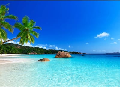 מיוזיק ג'אנקי 237 - מסביב לעולם ב 120 דקות