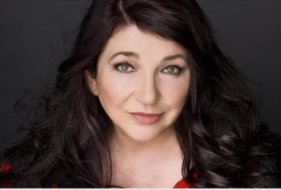 Shabi on the Rocks 355 מהדורת השפעות והשראות