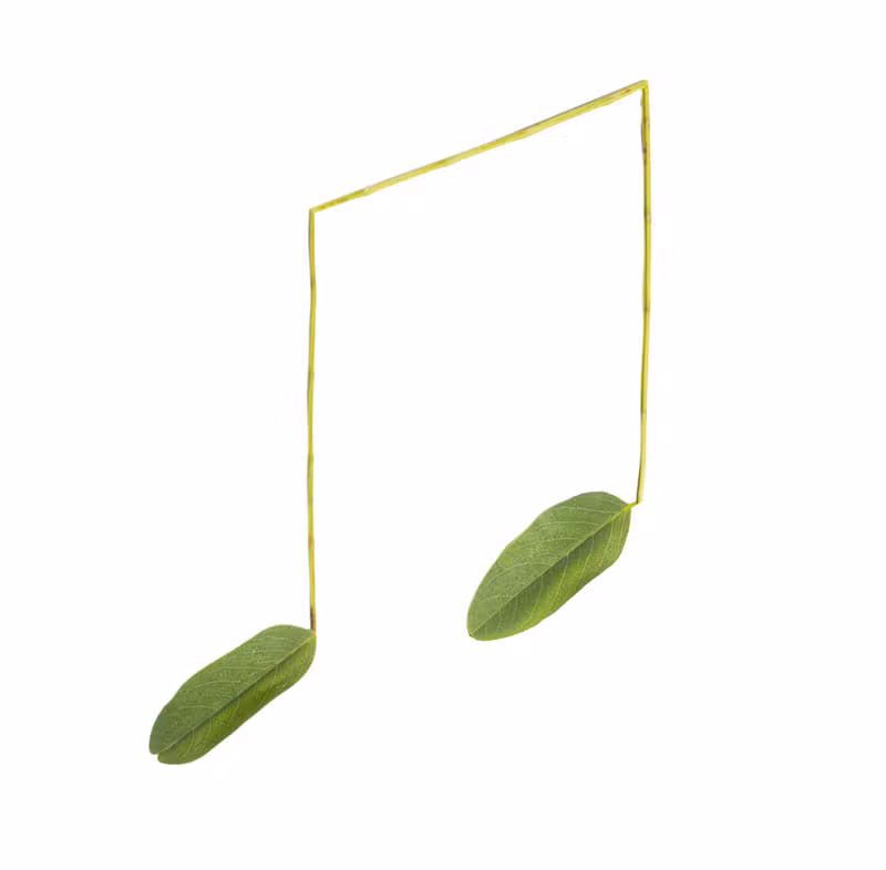 Music notes texture