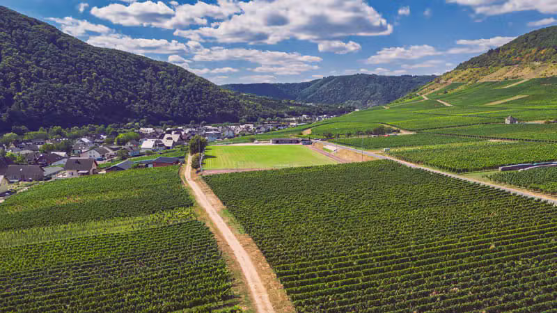 Mosel und Weinberge