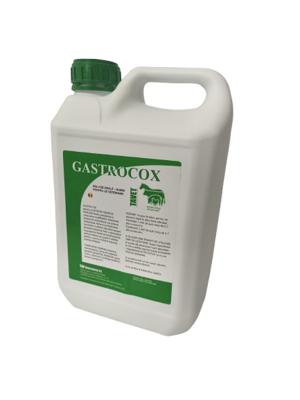 Gastro Cox - poza reală
