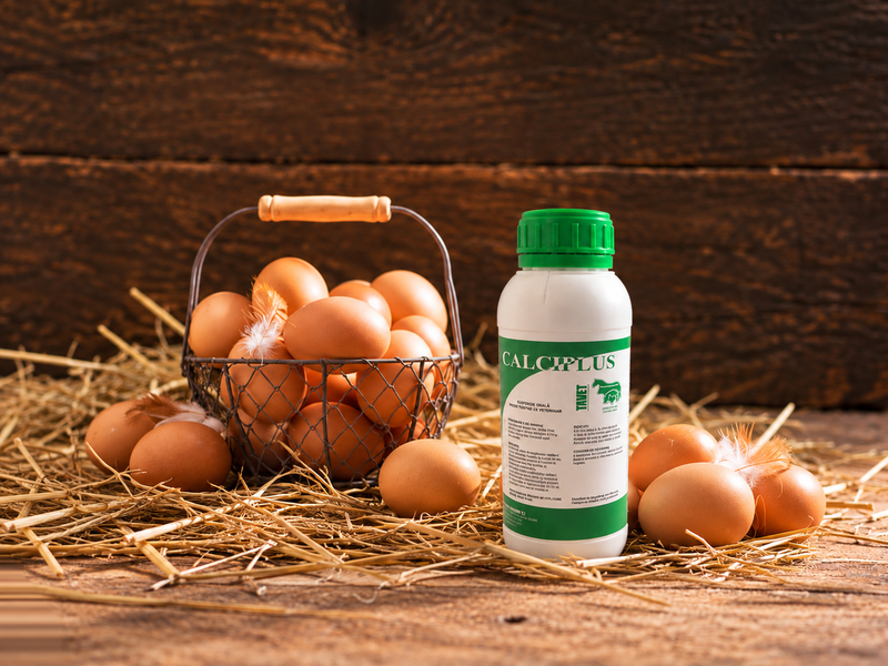 Calciplus
