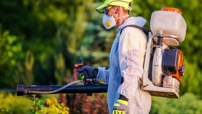 Smart, Safe Pest Control Strategies for Homes and Businesses