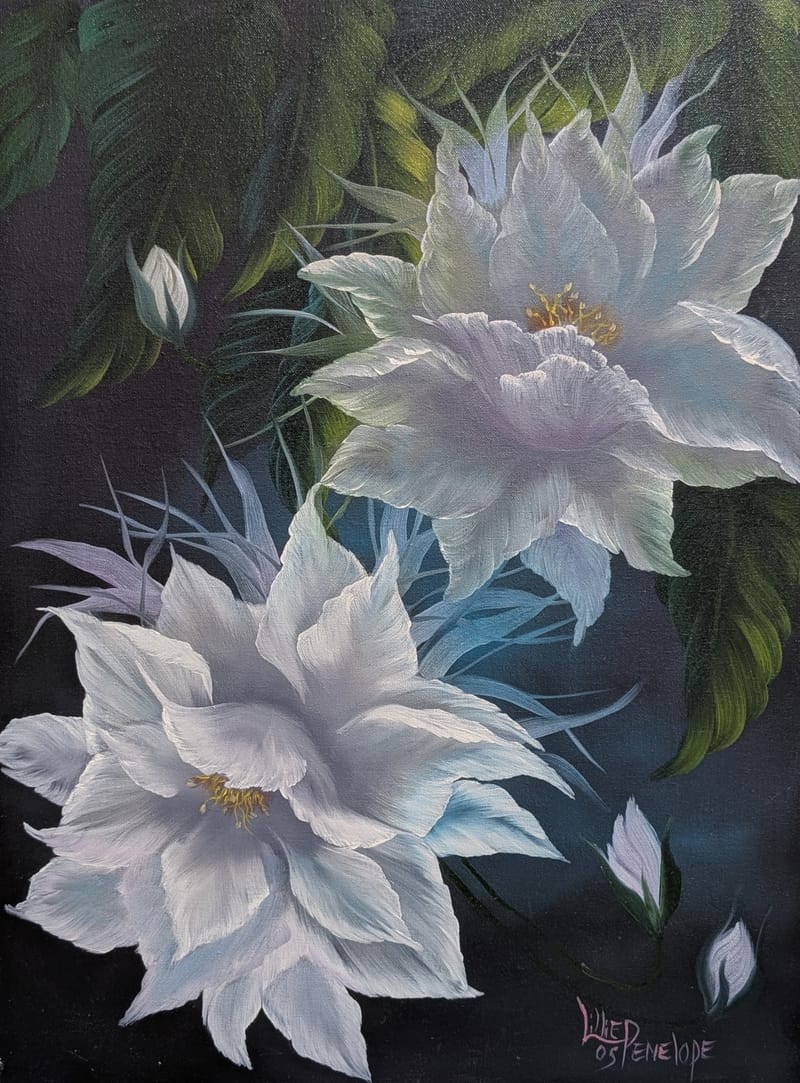 NIGHT FLOWER