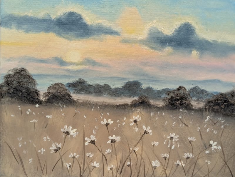 DAISY FIELD