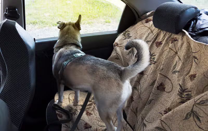 Safe Transport