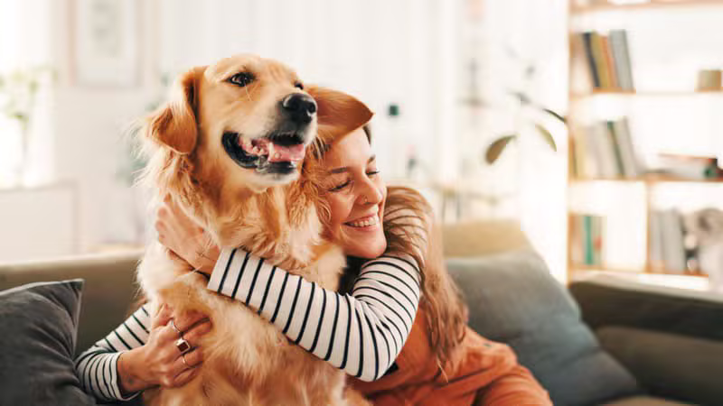 Pet Sitters