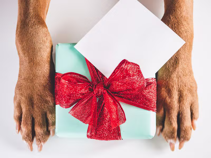 Customised Pet Gift Products