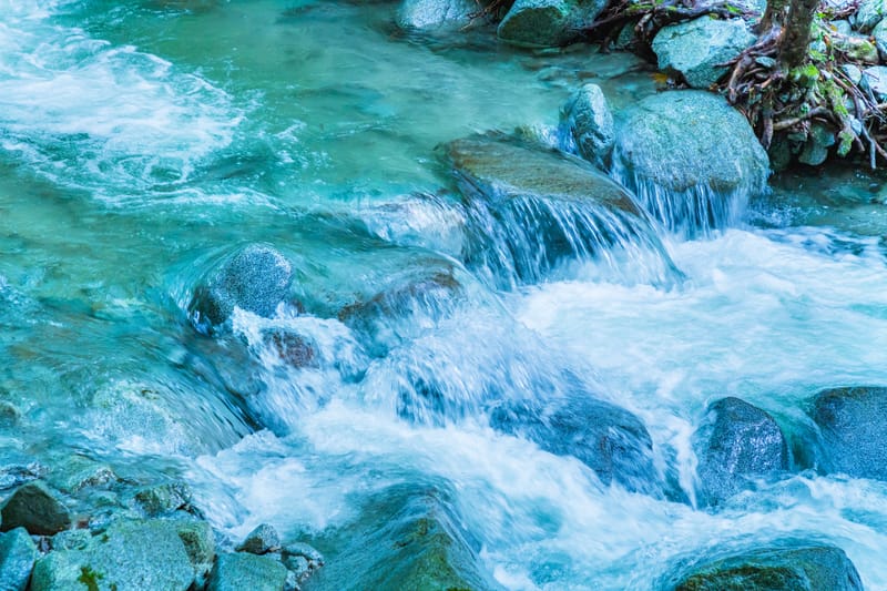 INTEGRATIVE WELLNESS FOR YOUR BODY SOUL AND MIND