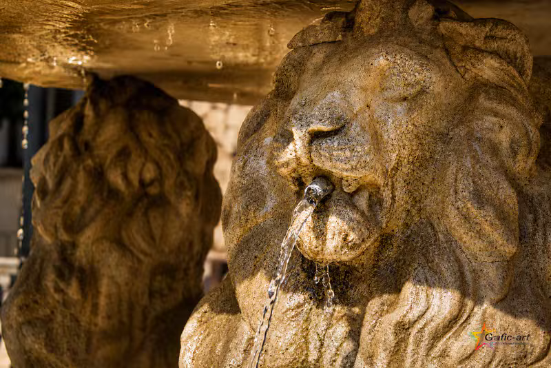 Detalle fuente de los leones