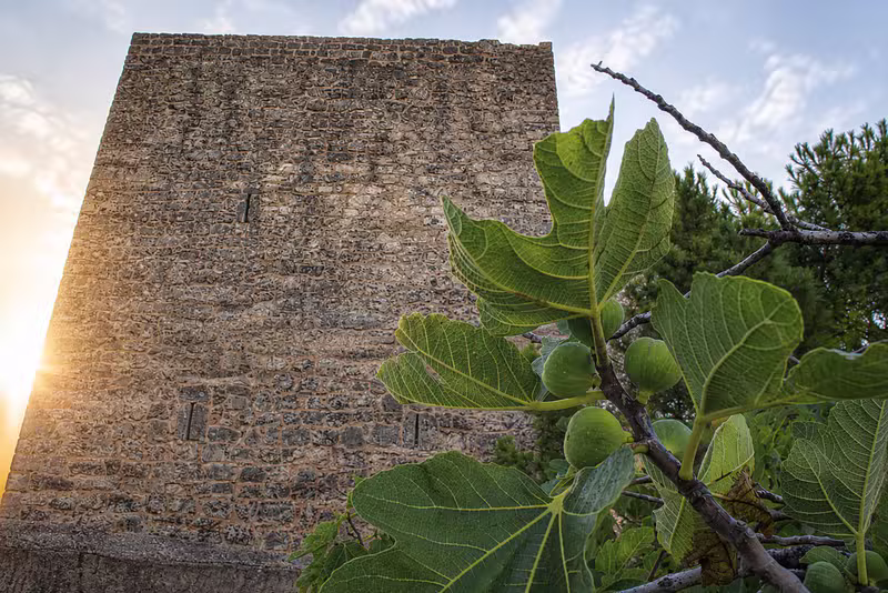 Torreón y naturaleza
