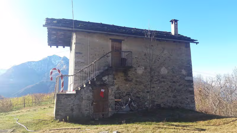 Nuovi Scatti