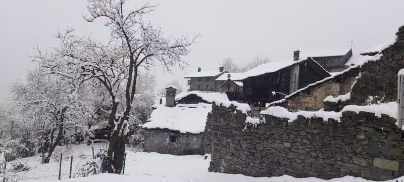 Nuove Immagini