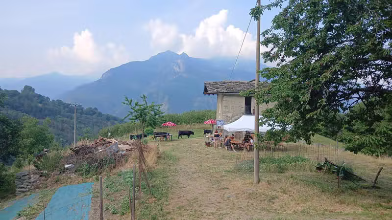 Nuove Immagini