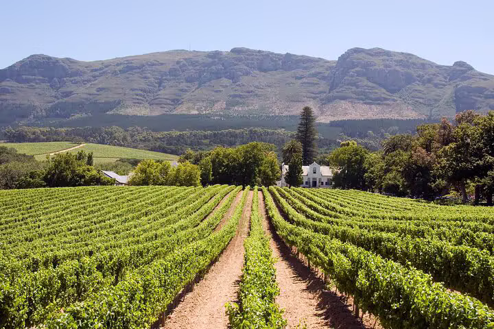 Cape Winelands Tour