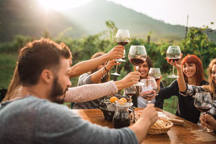 Cape Winelands Tour