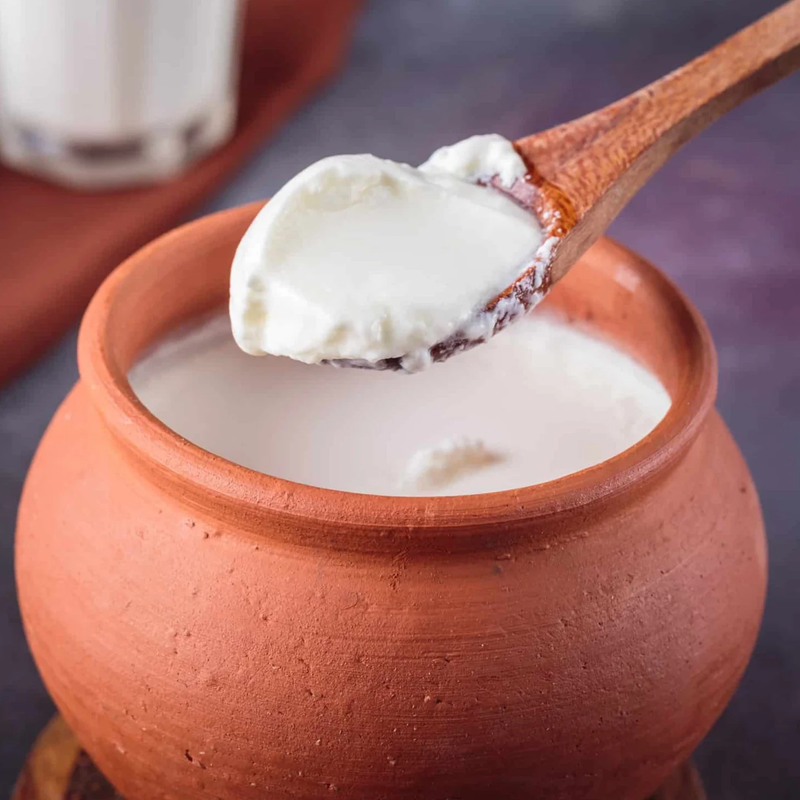 Fresh Yogurt
