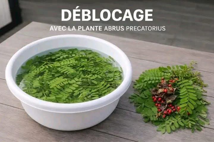 Médium voyant Anani le puissant