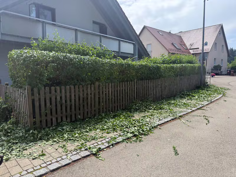 Gartenprojekt