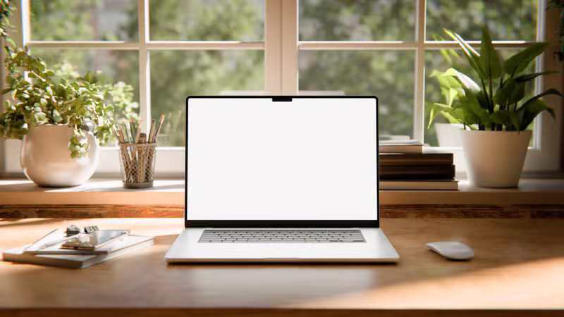 Monitors & Displays