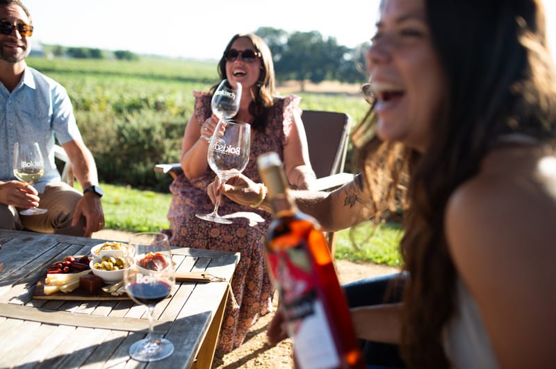 Email marketing, Newsletter y Wine Club