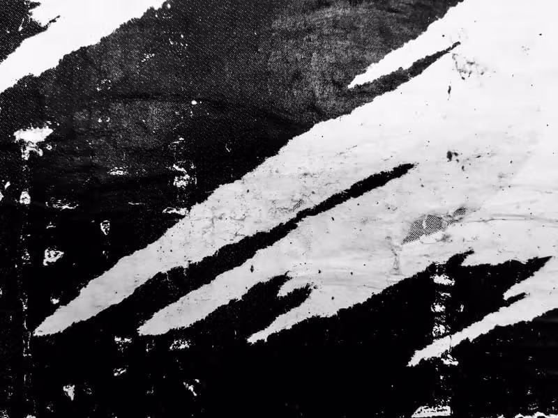 CANVAS 02