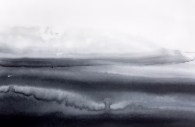CANVAS 04