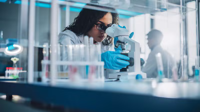 Services de Data Science, modélisation scientifique et formations avancées en physique