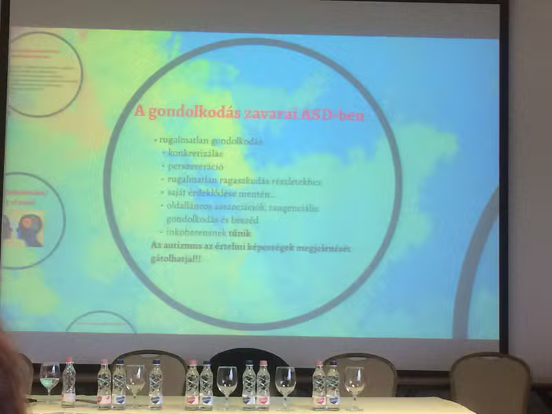 Konferencia pillanatkép