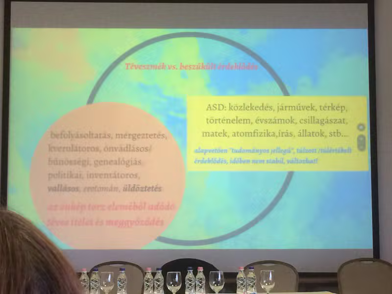 Konferencia pillanatkép