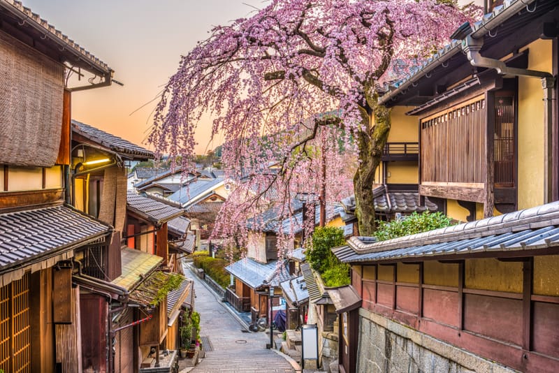 Japón Clásico: Osaka, Kioto y Tokio