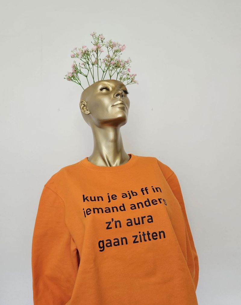 Sweater kun je ajb in... oranje/paars (preloved)