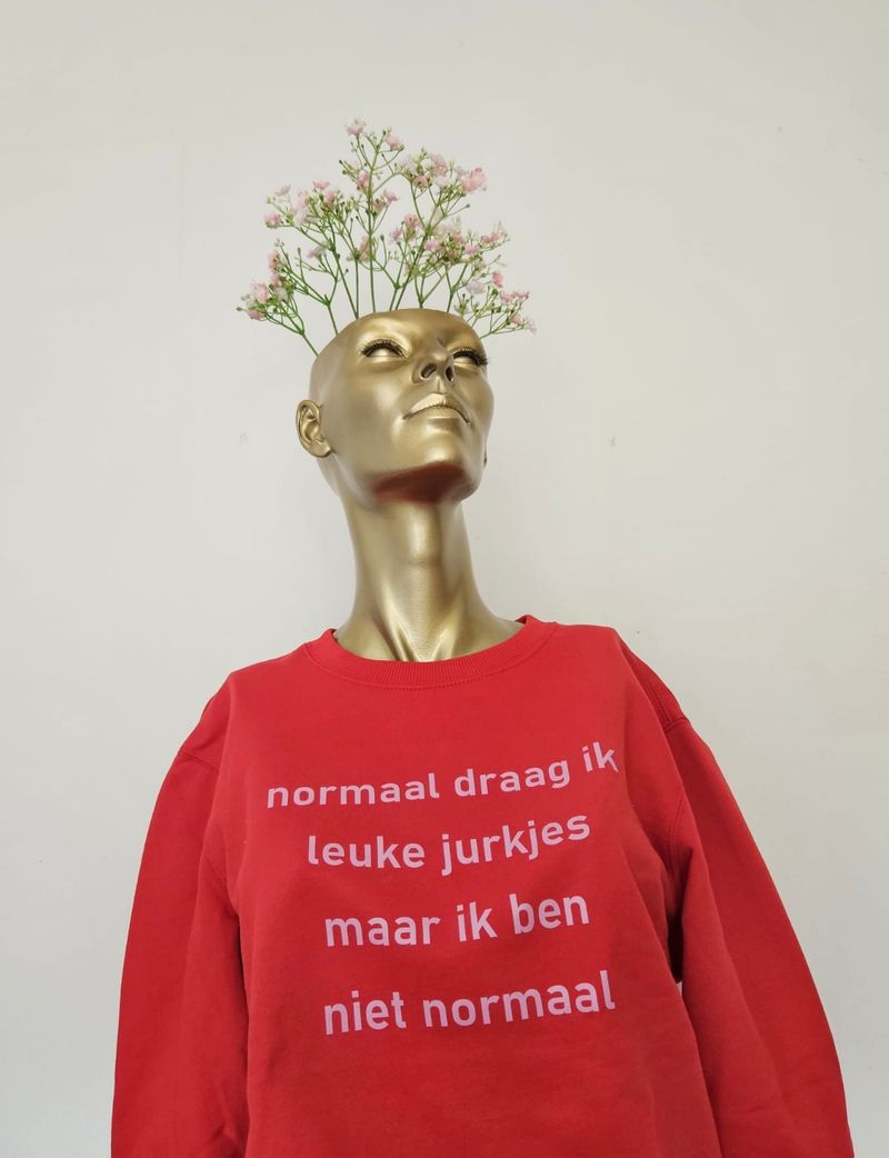 Sweater normaal draag ik... rood/rose (preloved)