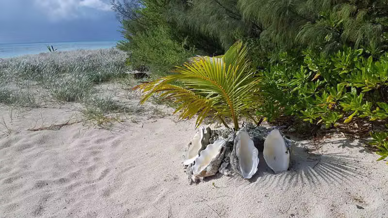 Voyages en Groupe & Famille