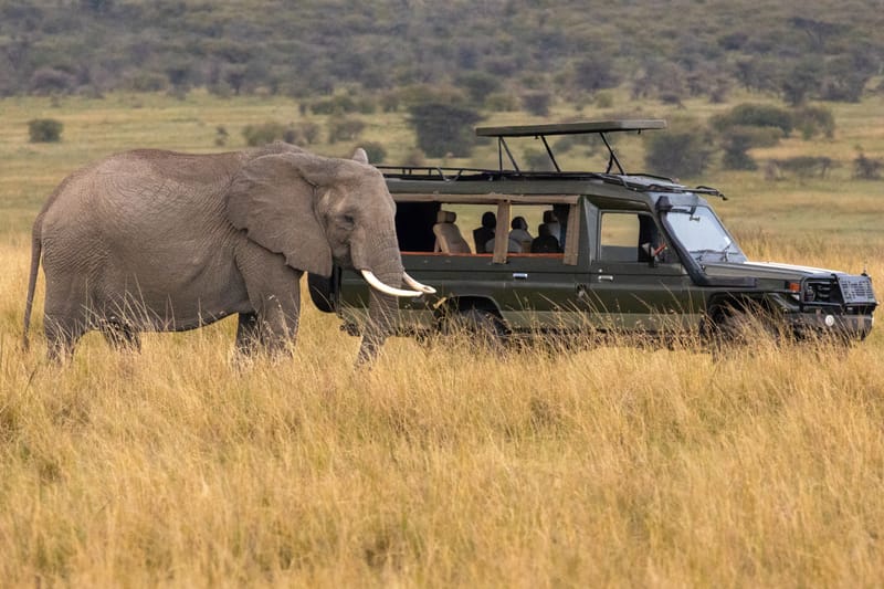 Kolkata to Masai Mara Tour Package