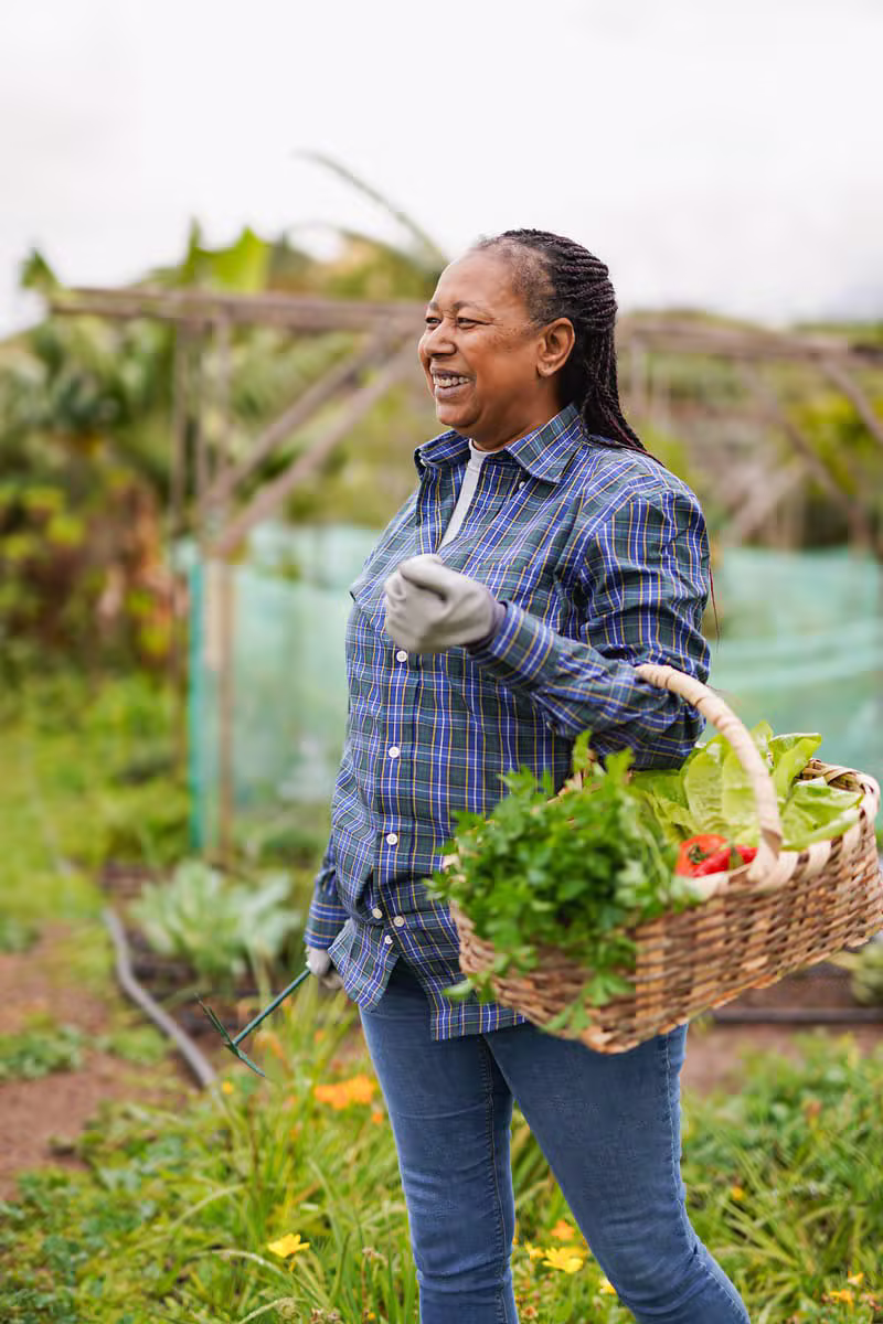 Black African farmers working on the green estate at Wakanda Naija Farms