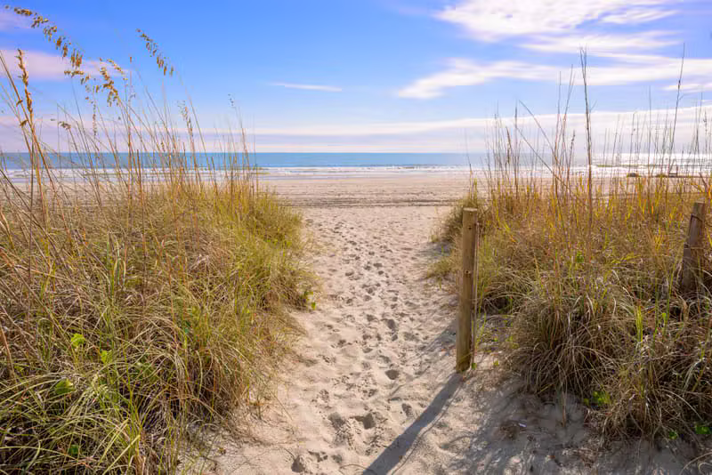 Walking Paths