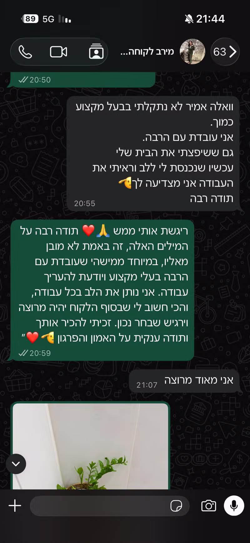 צביעת קירות פנים