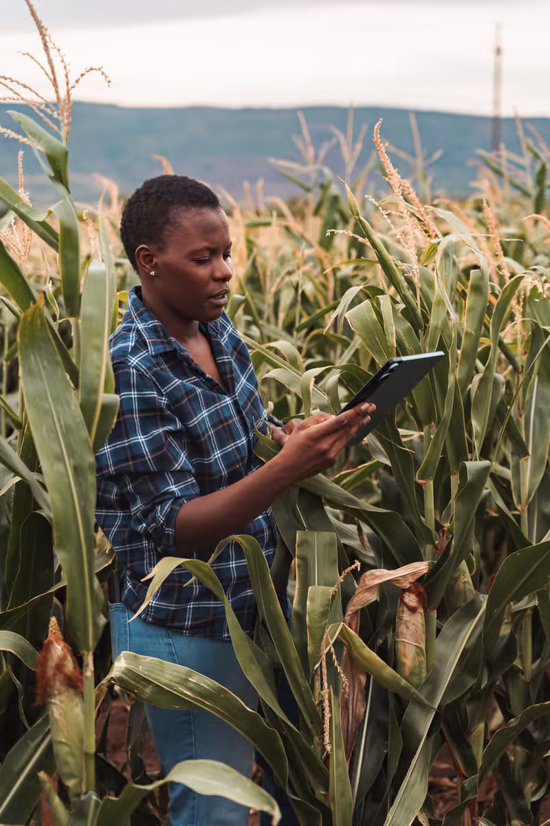 Productor agrícola analizando datos con una tablet