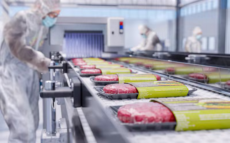 Processed meat burger production line