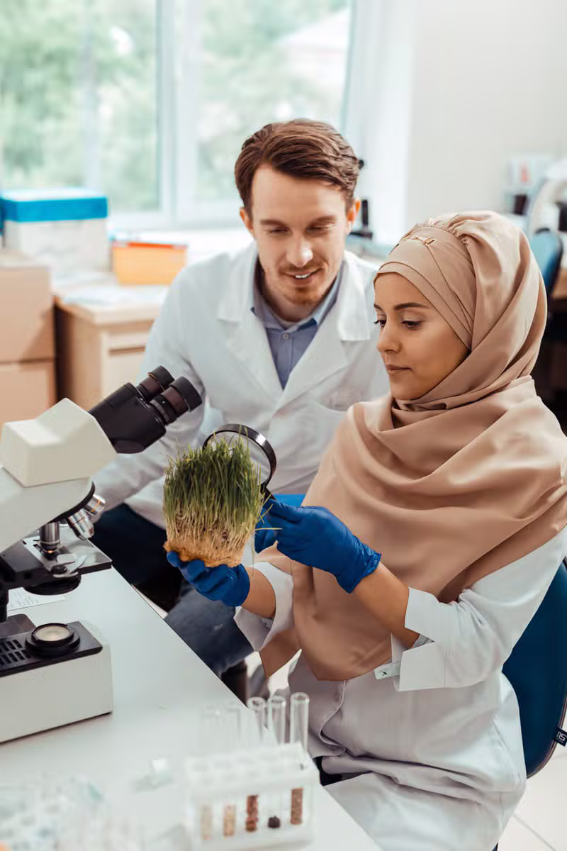Egyptian quality assurance specialist conducting laboratory tests
