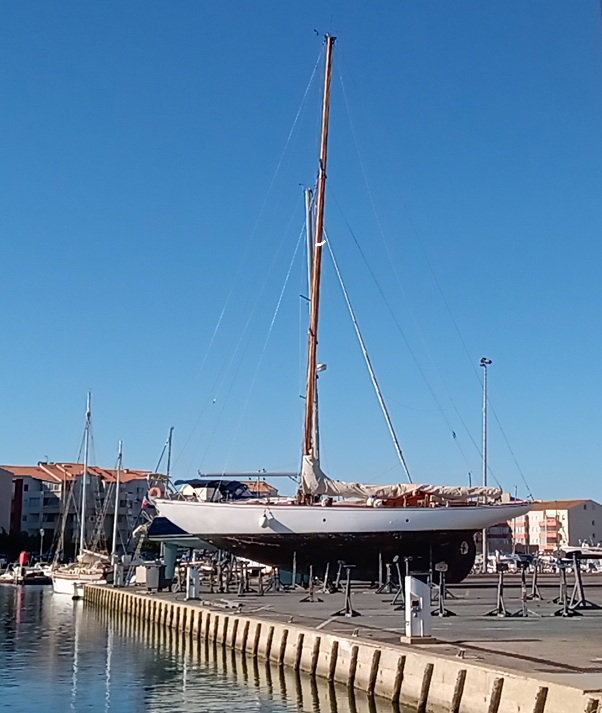IRINA VII