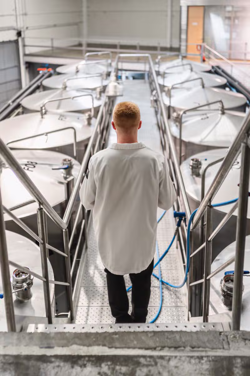 Clean and modern commercial food manufacturing facility