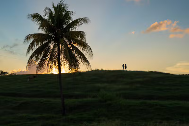 Voyant amour à Pointe-à-Pitre