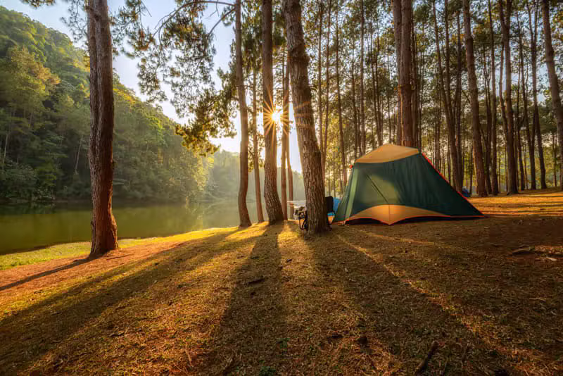 Tente dans une forêt au coucher du soleil