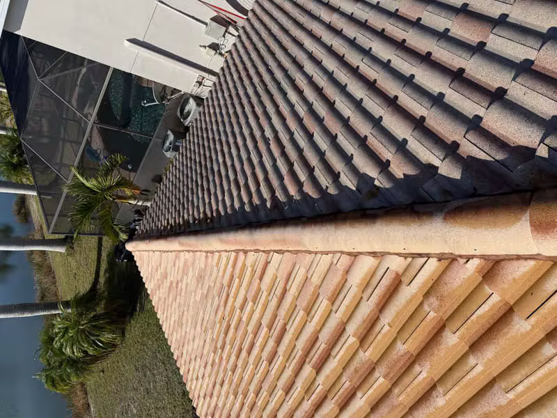 Roof Cleaning